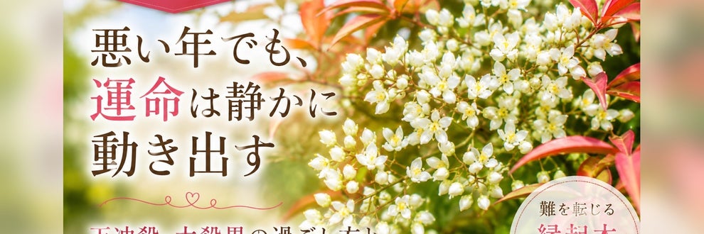 神様に導かれた　月詠みの部屋 みんとの画像