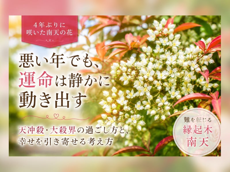 神様に導かれた　月詠みの部屋 みんとの画像
